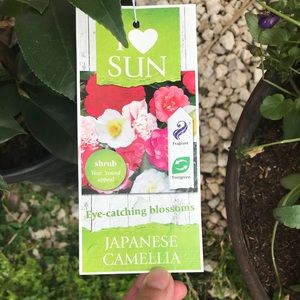 Meet your Posher, Kyla